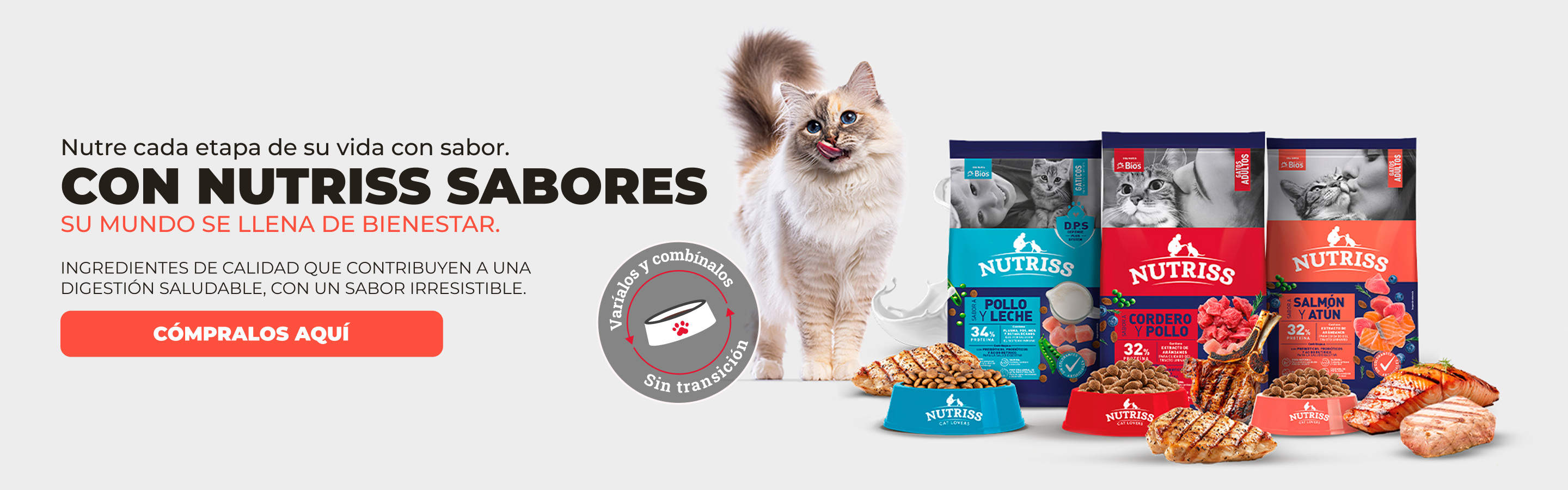 BNG - NUTRISS SABORES 2026